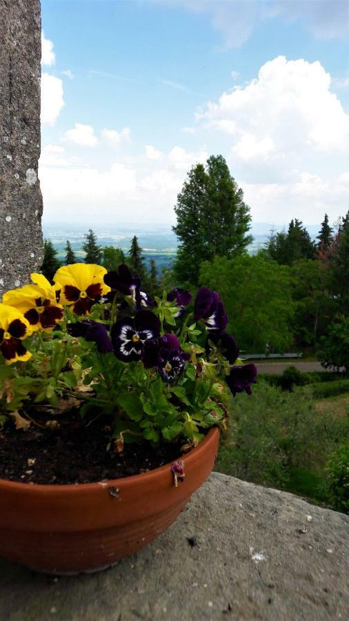 Apartamento A Due Passi Dal Chianti Cavriglia Exterior foto