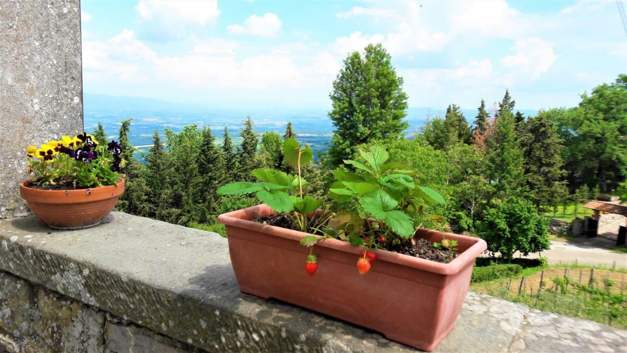 Apartamento A Due Passi Dal Chianti Cavriglia Exterior foto